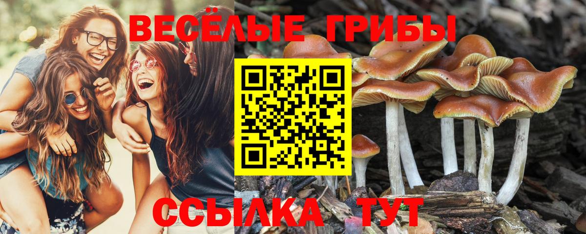Псилоцибиновые грибы прущие грибы Красноуфимск