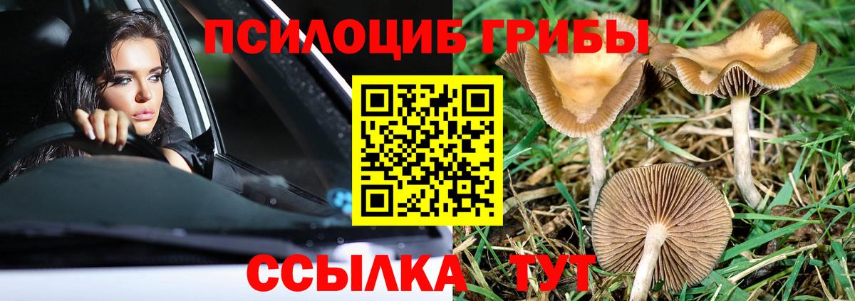 Псилоцибиновые грибы Psilocybe  где продают   Красноуфимск  Галлюциногенные грибы Cubensis  Вход с VPN 